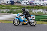 Vintage-motorcycle-club;eventdigitalimages;mallory-park;mallory-park-trackday-photographs;no-limits-trackdays;peter-wileman-photography;trackday-digital-images;trackday-photos;vmcc-festival-1000-bikes-photographs
